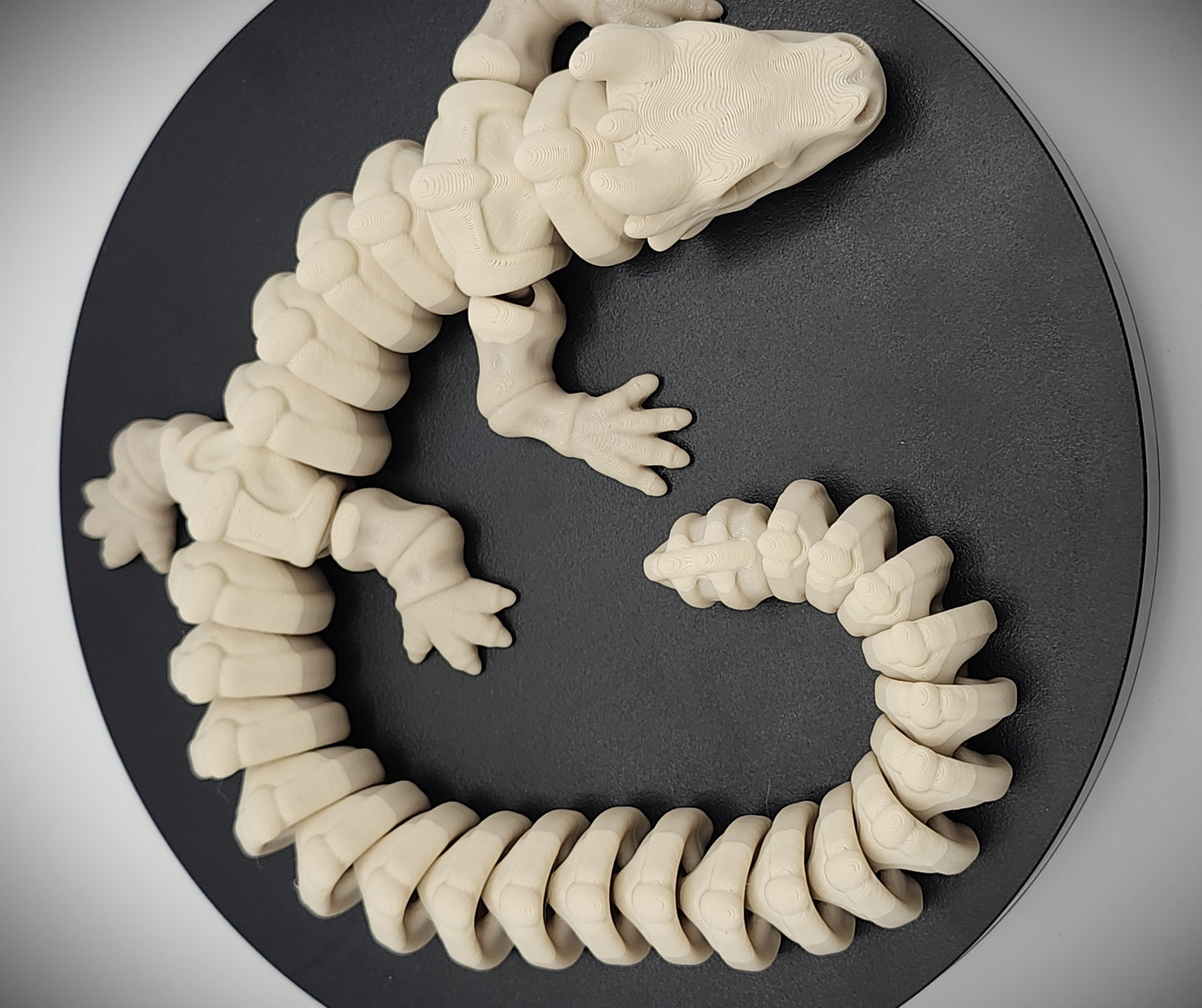 Fidget Skeleton Dragon